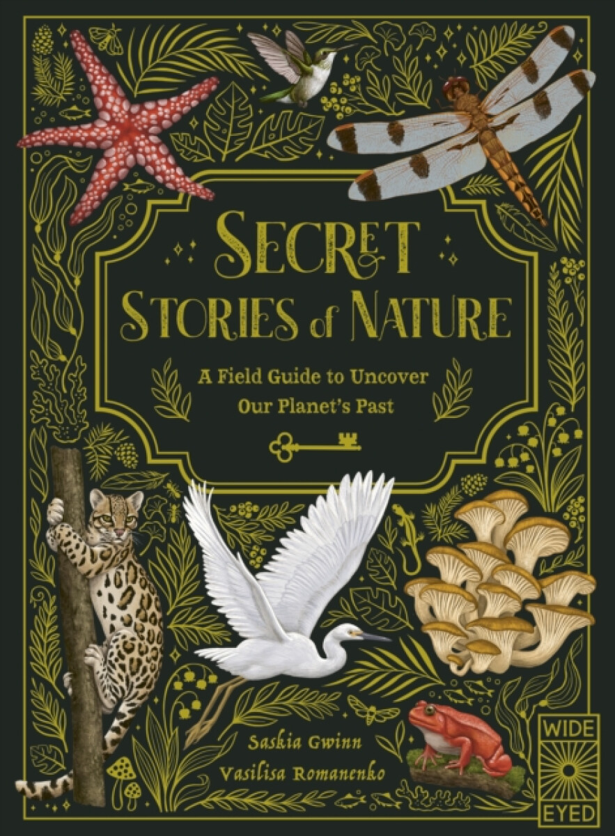 Kniha Secret Stories of Nature