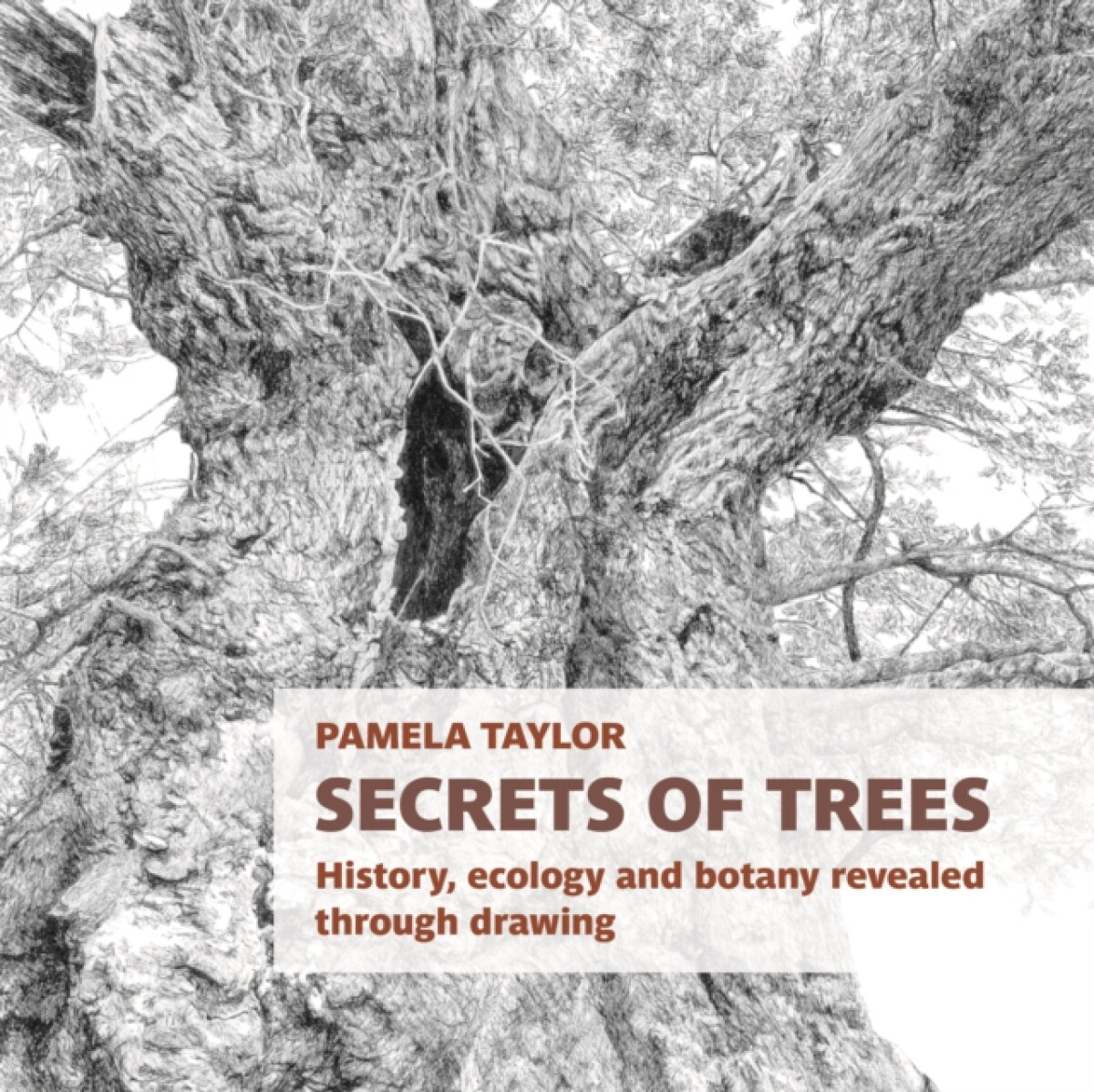 Kniha Secrets of Trees