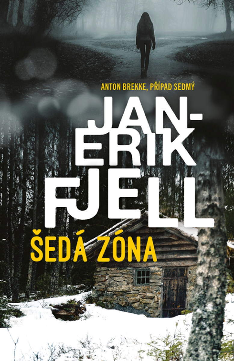 Levně Šedá zóna - Jan-Erik Fjell
