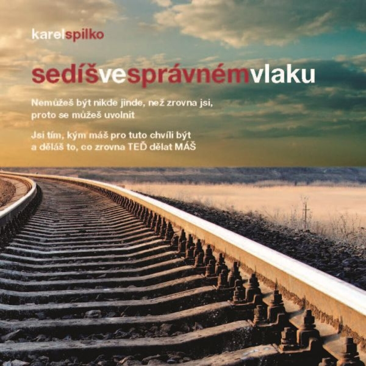 Levně Sedíš ve správném vlaku - Karel Spilko - audiokniha