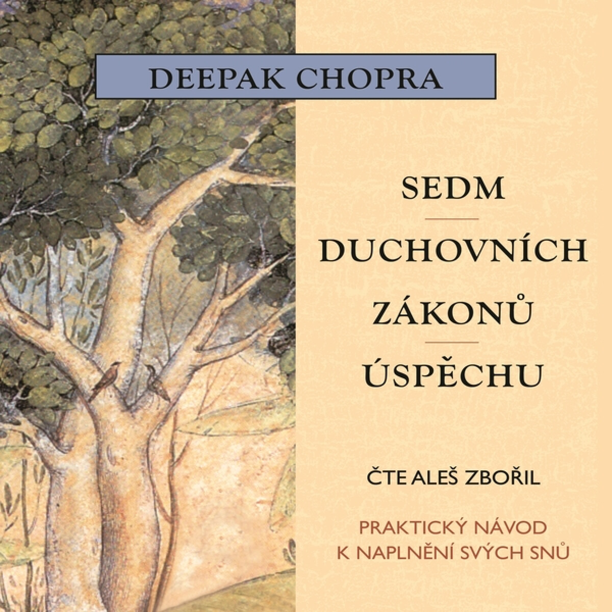 Levně Sedm duchovních zákonů úspěchu - Deepak Chopra - audiokniha