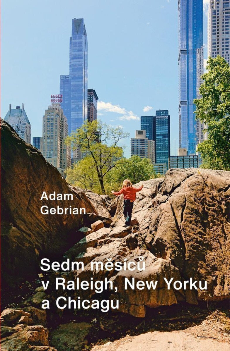 Kniha Sedm měsíců v Raleigh, New Yorku a Chicagu