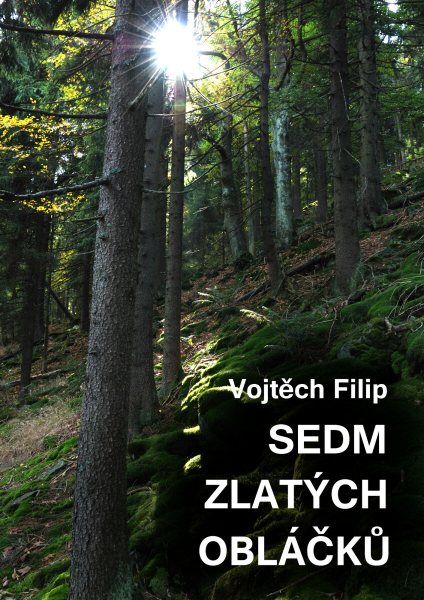 Sedm zlatých obláčků - Vojtěch Filip