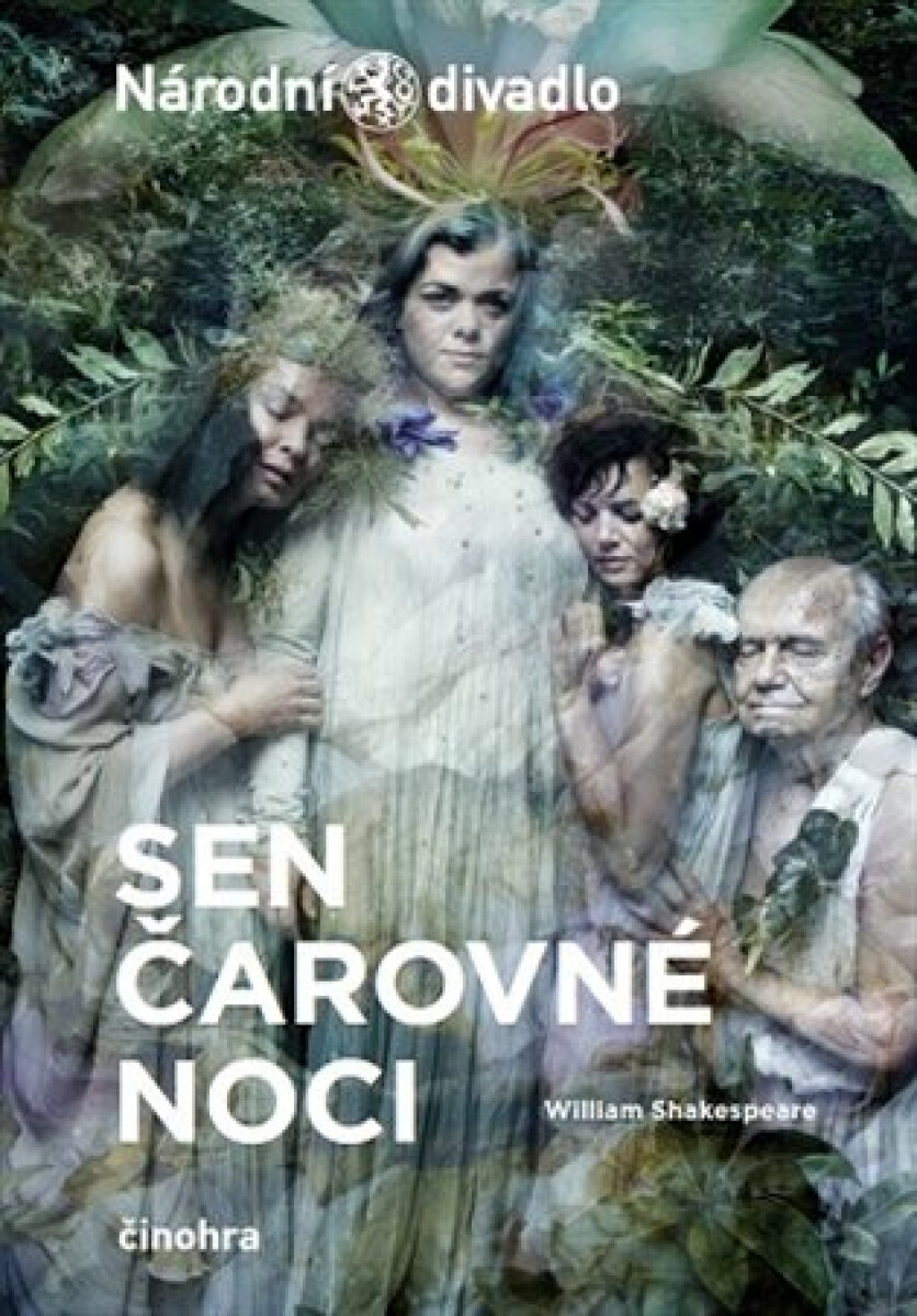 Kniha Sen čarovné noci