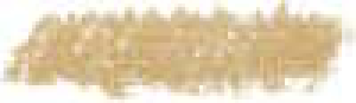 Sennelier olejový pastel 5ml – 113 Rich Pale Gold