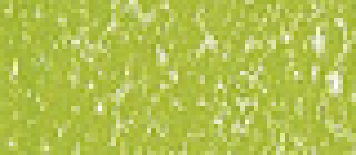 Sennelier suchý pastel 203 Leaf Green