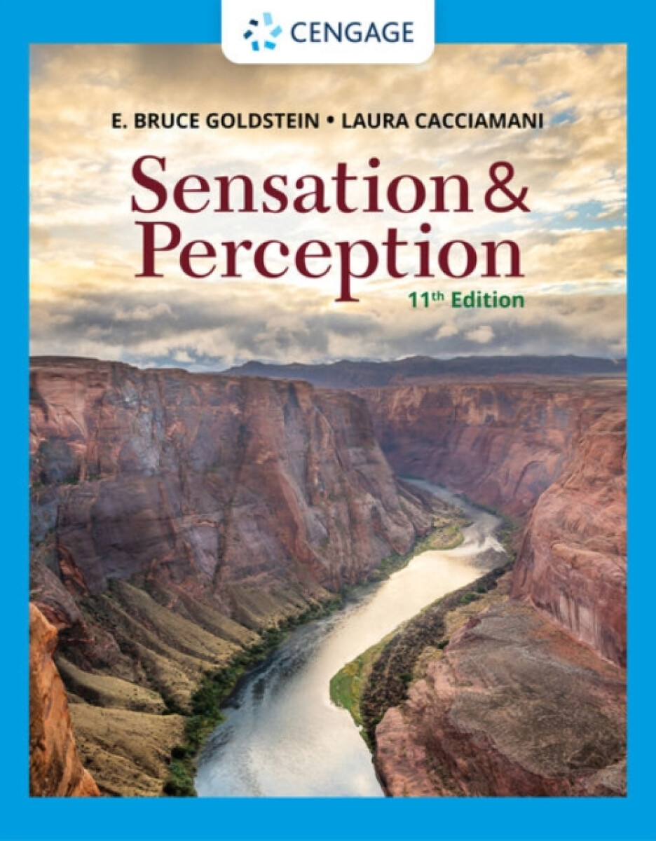 Kniha Sensation and Perception