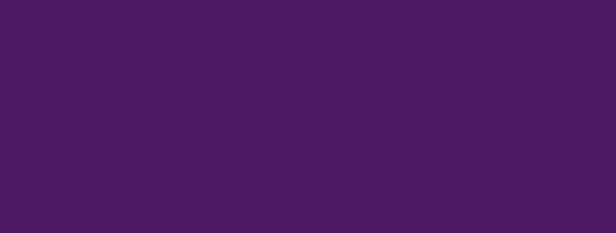 Setacolor Light F 45 ml - 29 Parma Violet