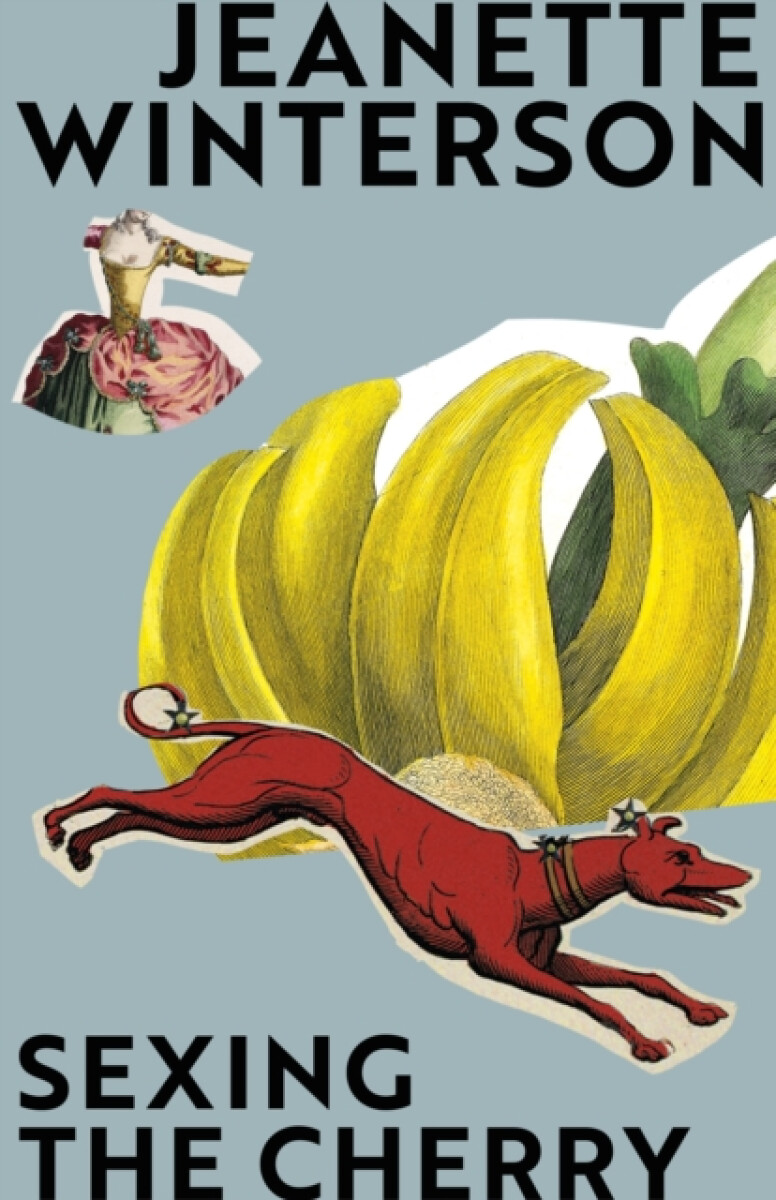 Kniha Sexing The Cherry