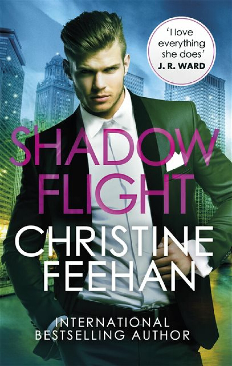 Kniha Shadow Flight