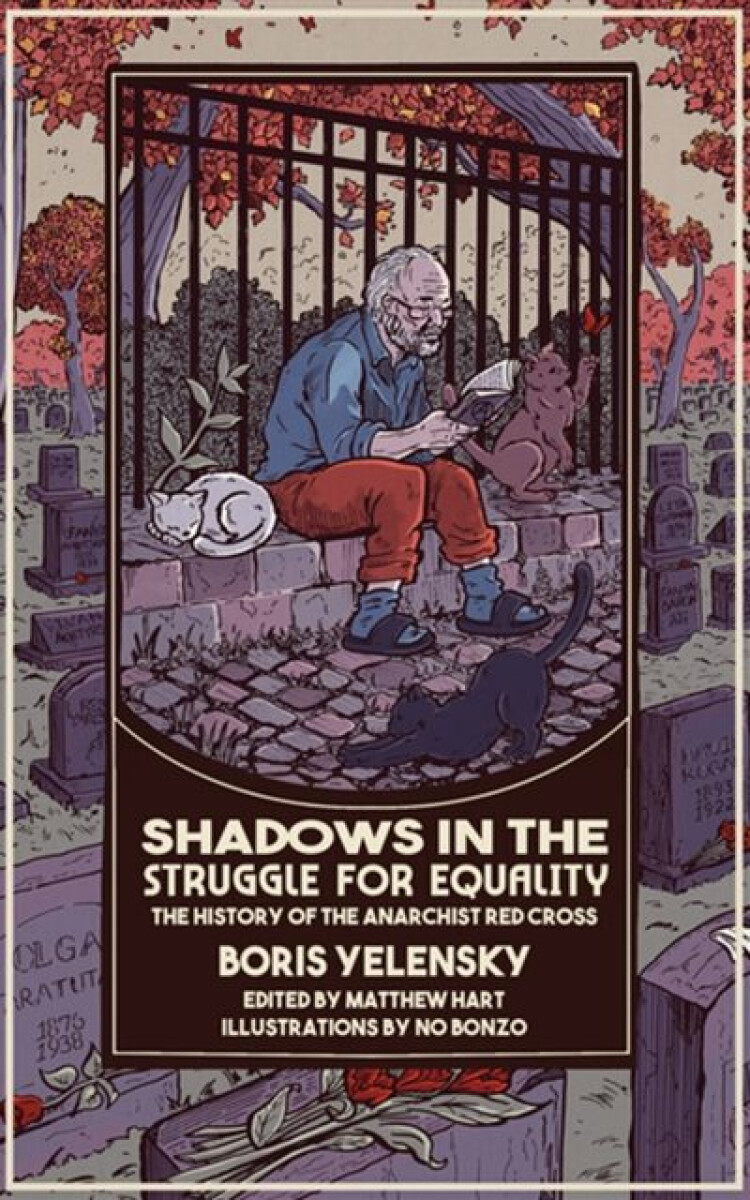 Kniha Shadows in the Struggle for Equality