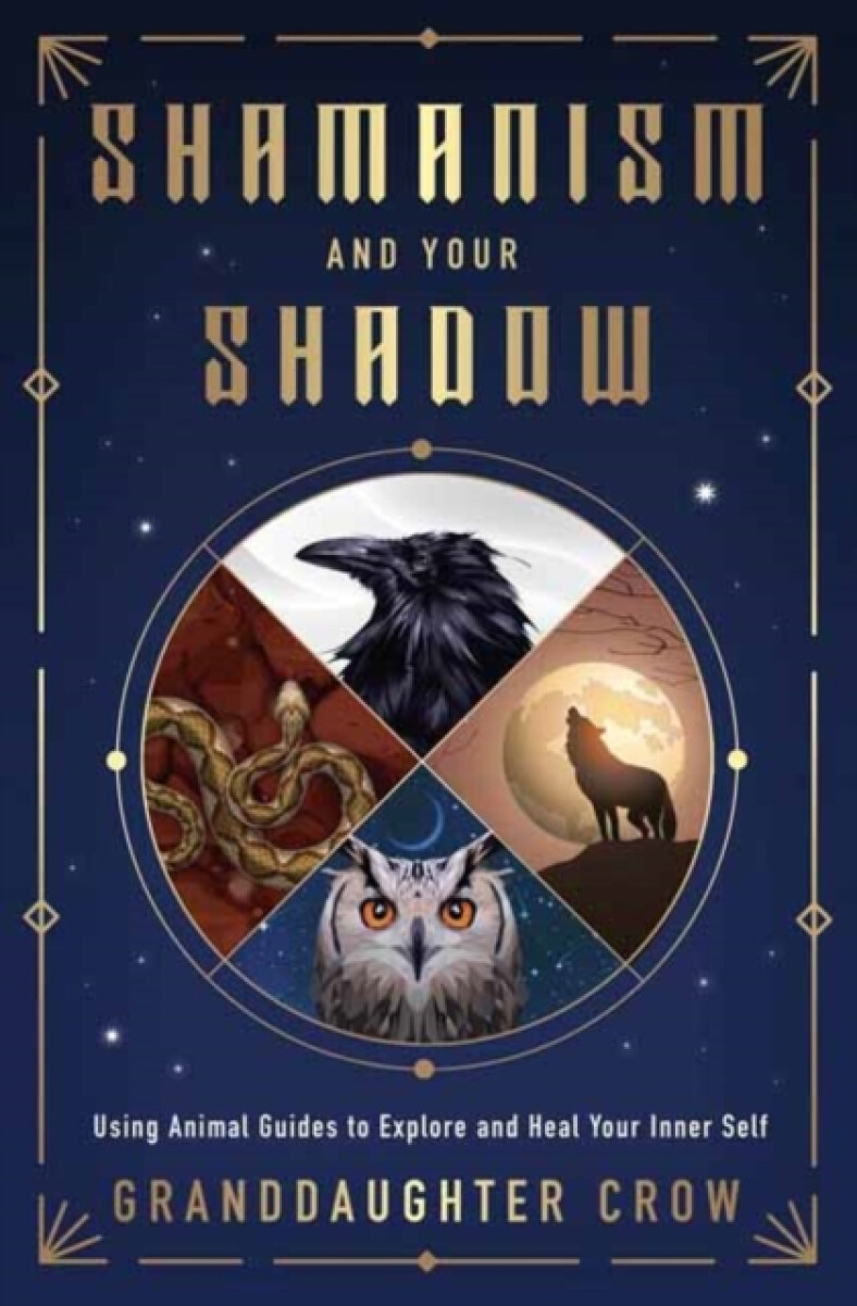 Kniha Shamanism and Your Shadow