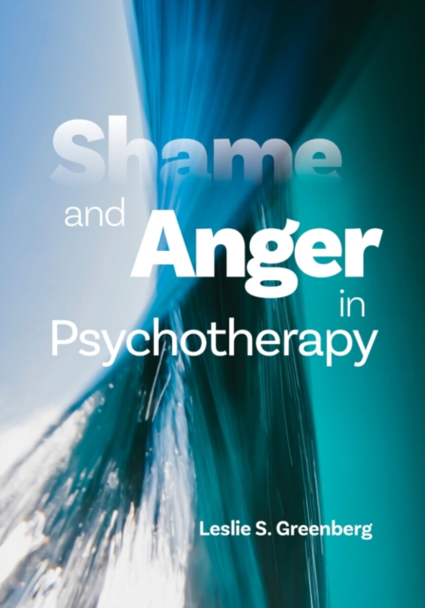 Kniha Shame and Anger in Psychotherapy
