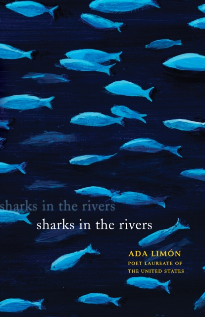 Kniha Sharks in the Rivers
