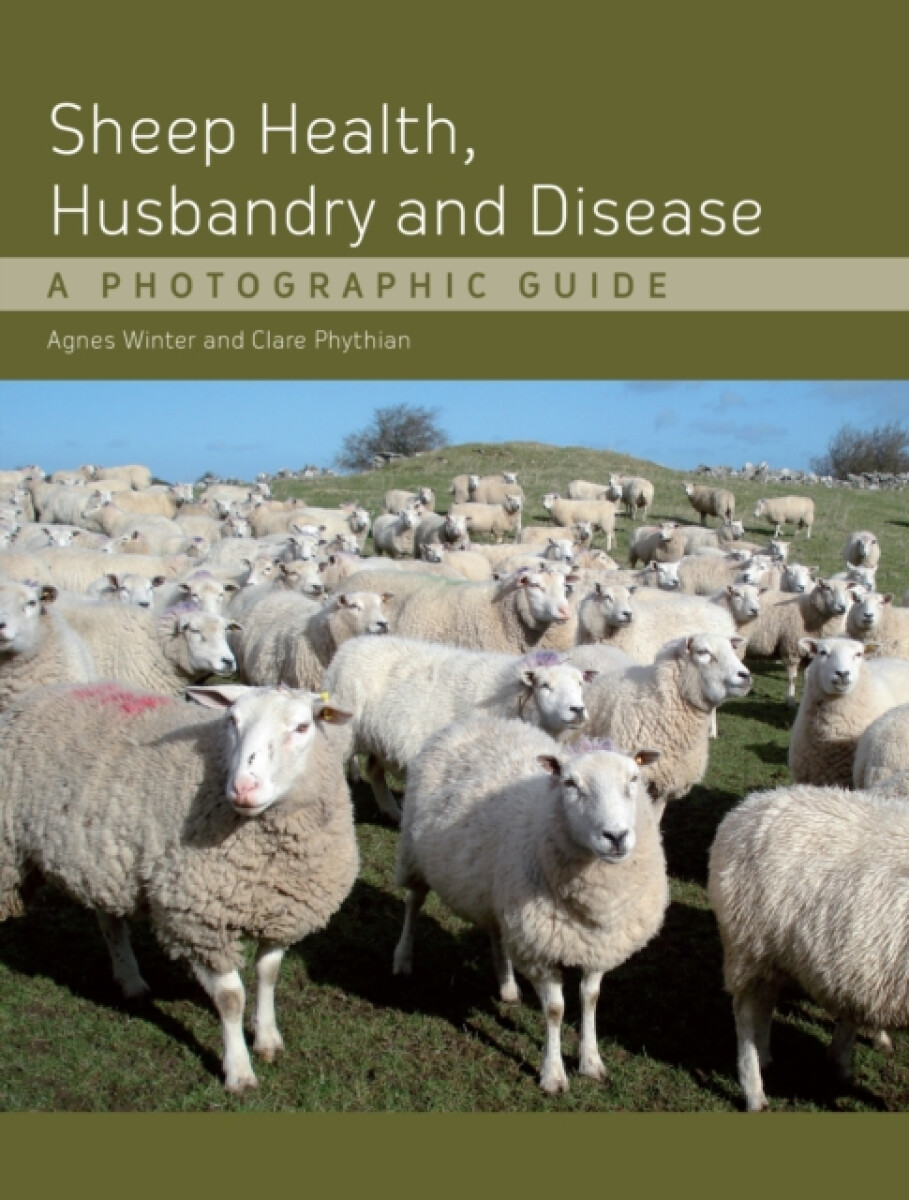 Kniha Sheep Health, Husbandry and Disease