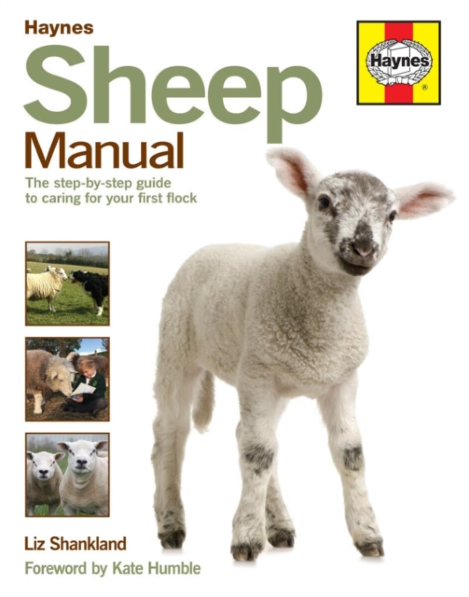 Kniha Sheep Manual