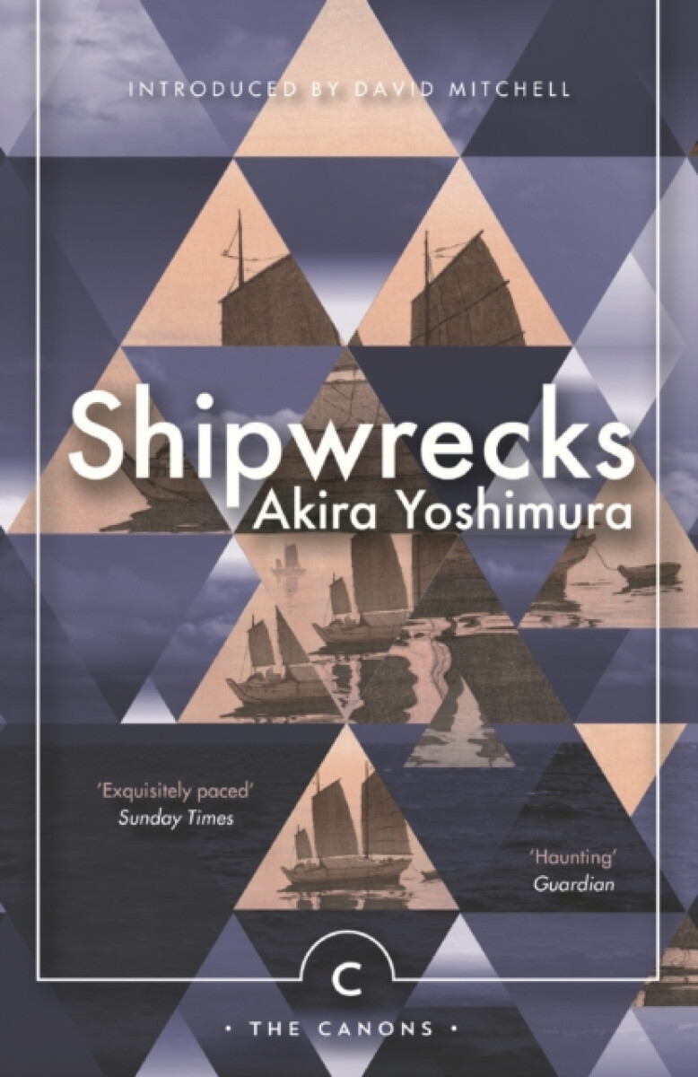 Kniha Shipwrecks