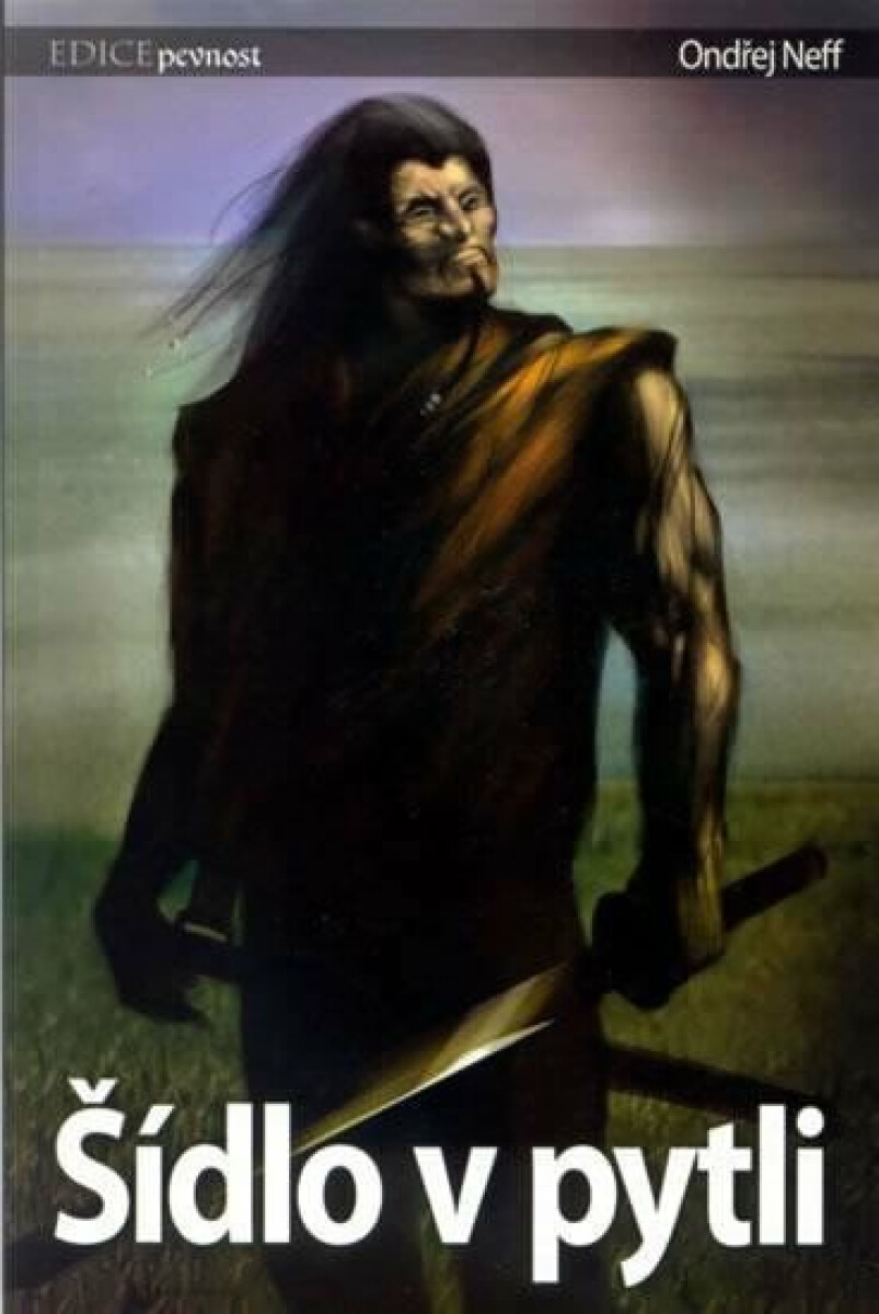 Kniha Šídlo v pytli