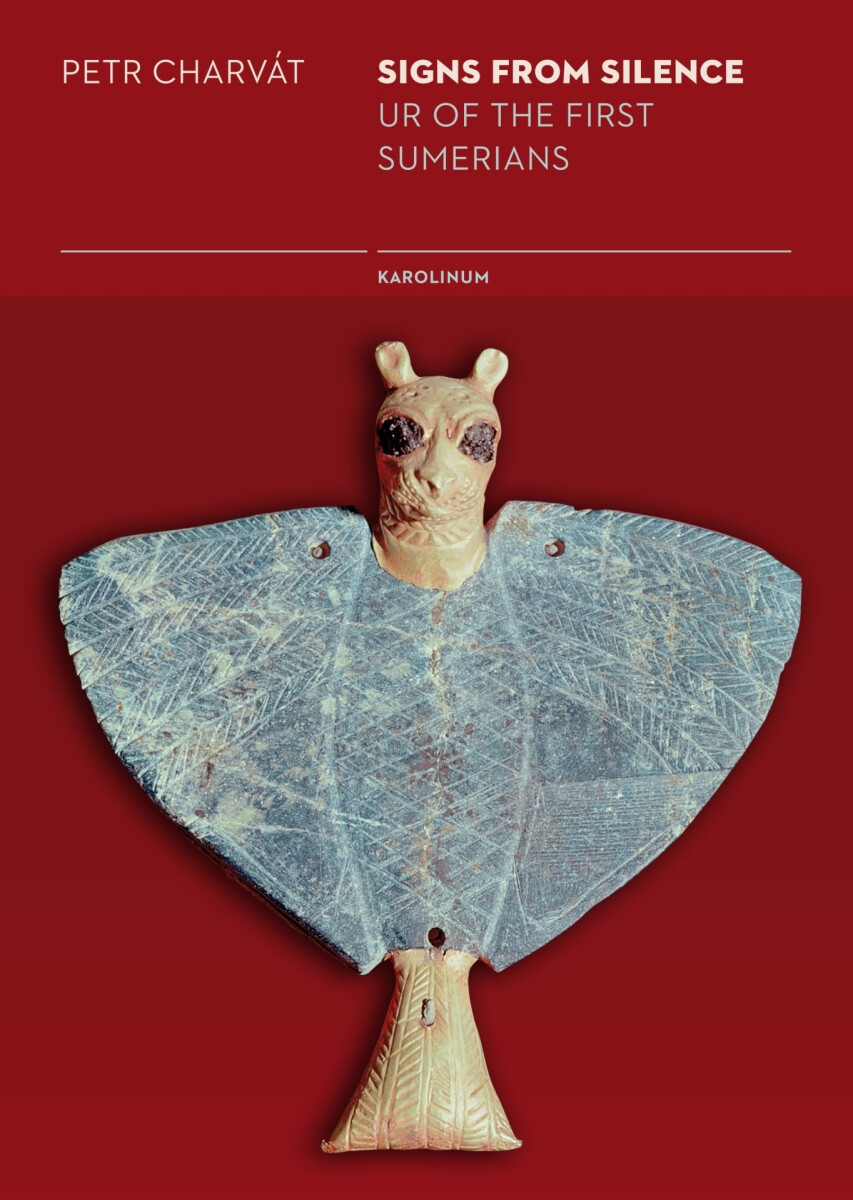 Signs from Silence  - Petr Charvát