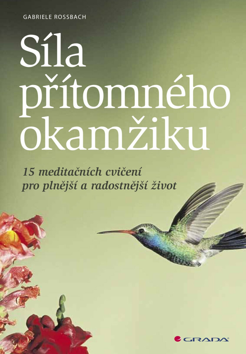 Síla přítomného okamžiku - Gabriele Rossbach