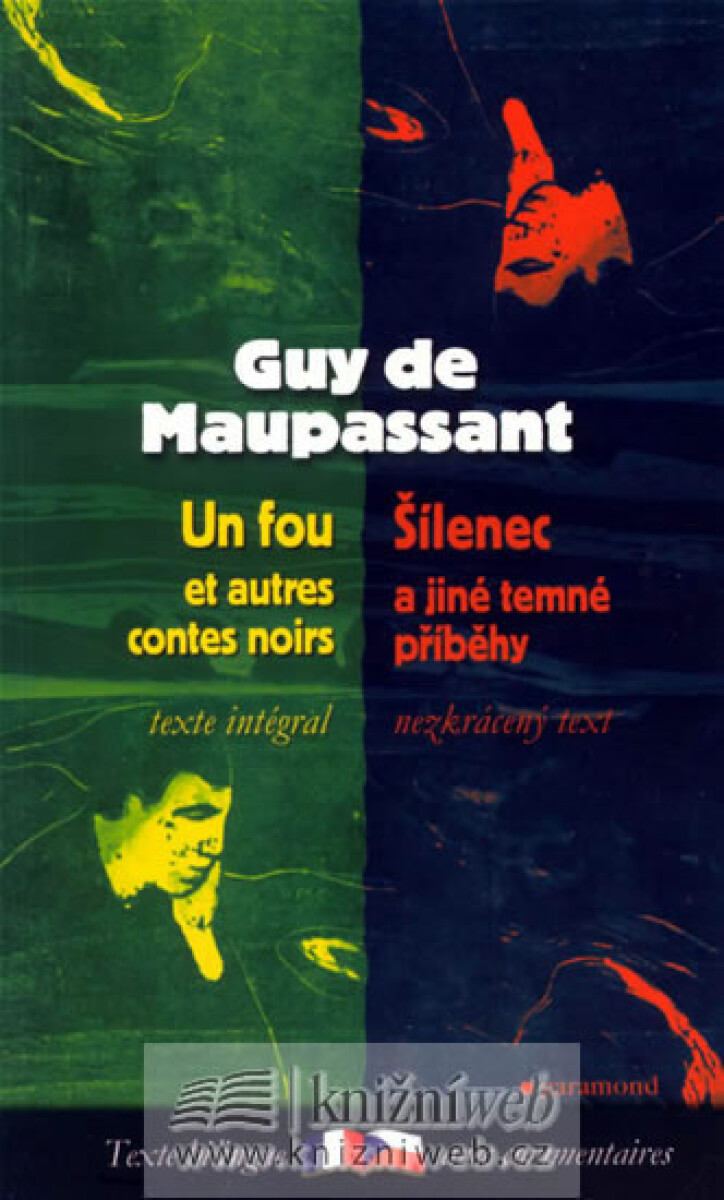 Kniha Šílenec a jiné temné příběhy / Un fou et autres contes noirs (poškozená)
