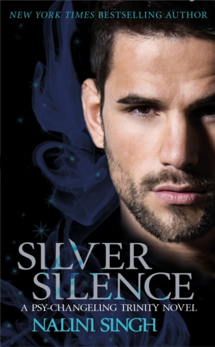 Kniha Silver Silence