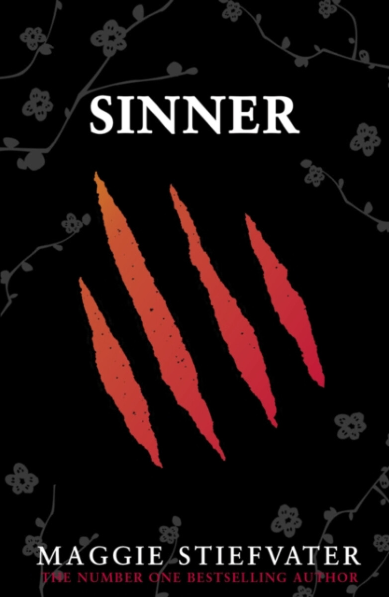 Kniha Sinner