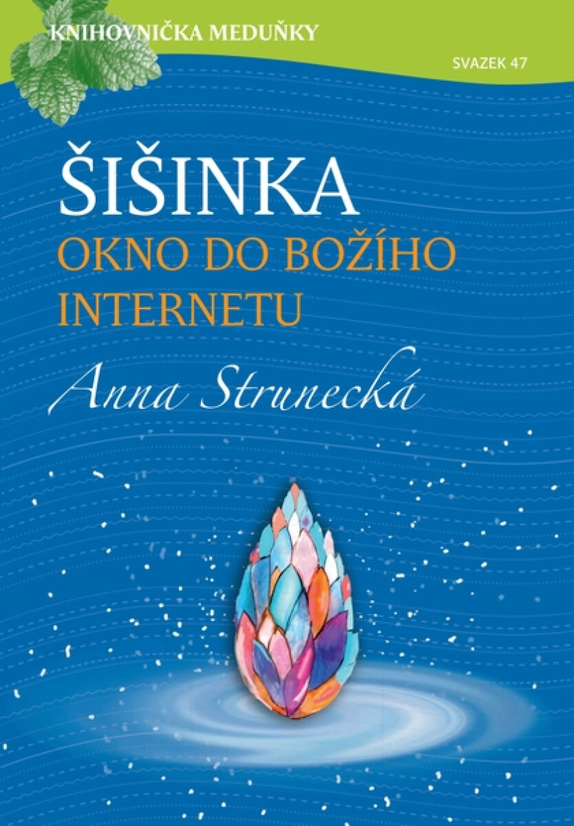 Levně Šišinka, okno do božího internetu - Anna Strunecká