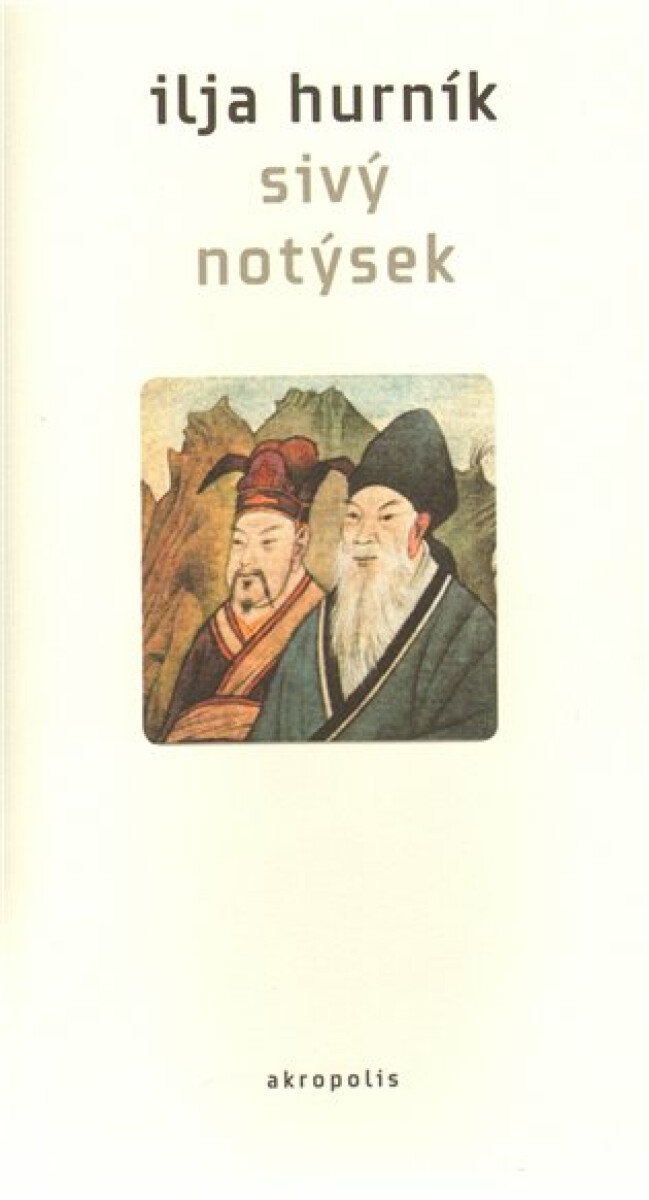 Kniha Sivý notýsek