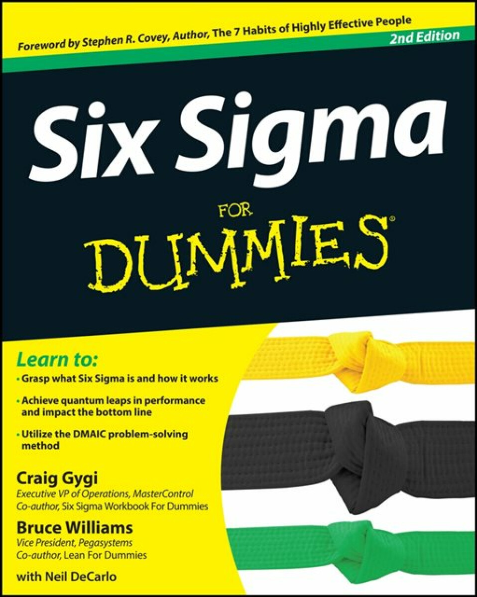 Kniha Six Sigma For Dummies