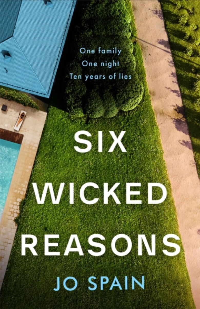 Kniha Six Wicked Reasons