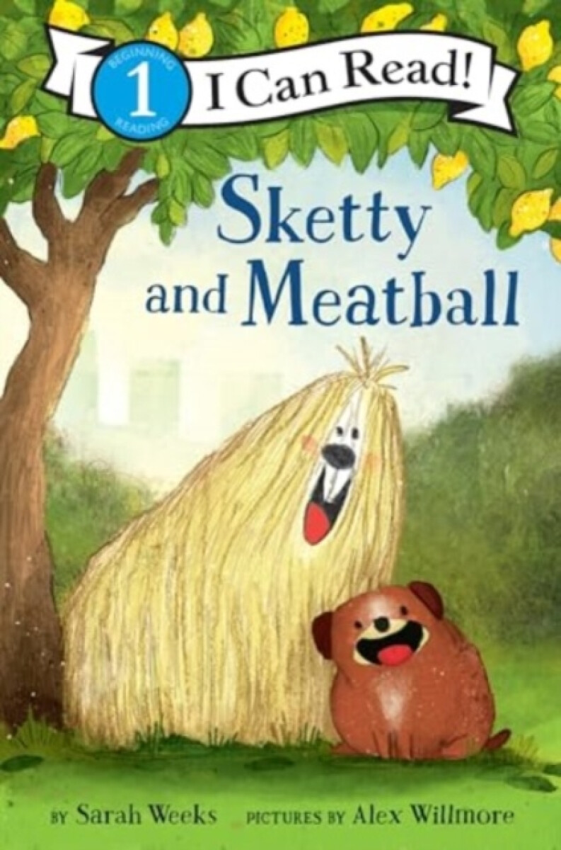 Kniha Sketty and Meatball