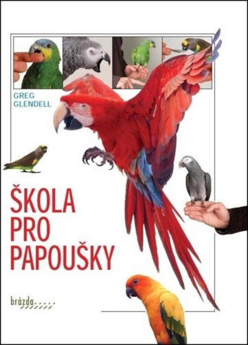 Kniha Škola pro papoušky