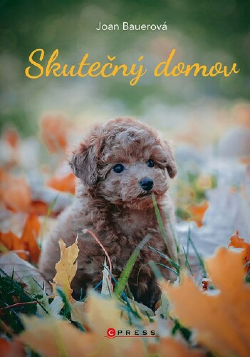 Kniha Skutečný domov