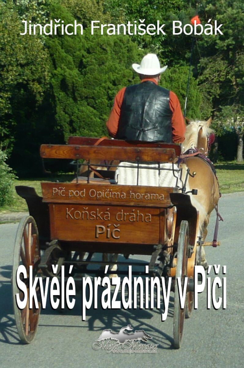 Skvělé prázdniny v Píči - Jindřich František Bobák
