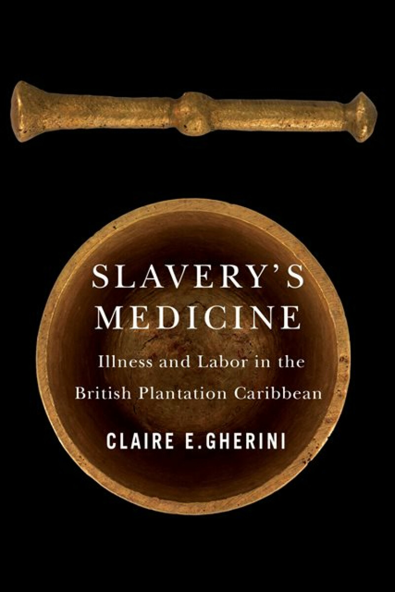 Kniha Slavery's Medicine