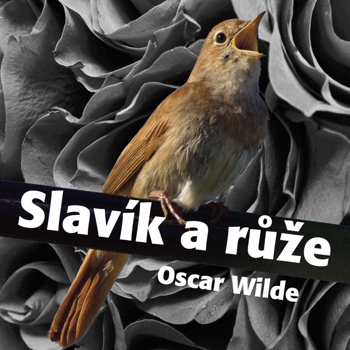 Levně Slavík a růže - Oscar Wilde - audiokniha