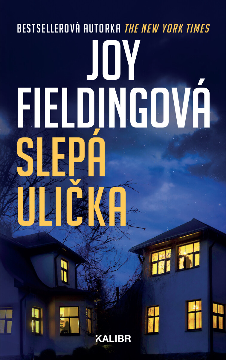Levně Slepá ulička - Joy Fieldingová
