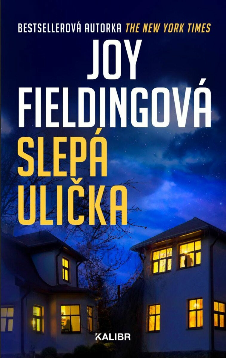 Slepá ulička – Joy Fieldingová