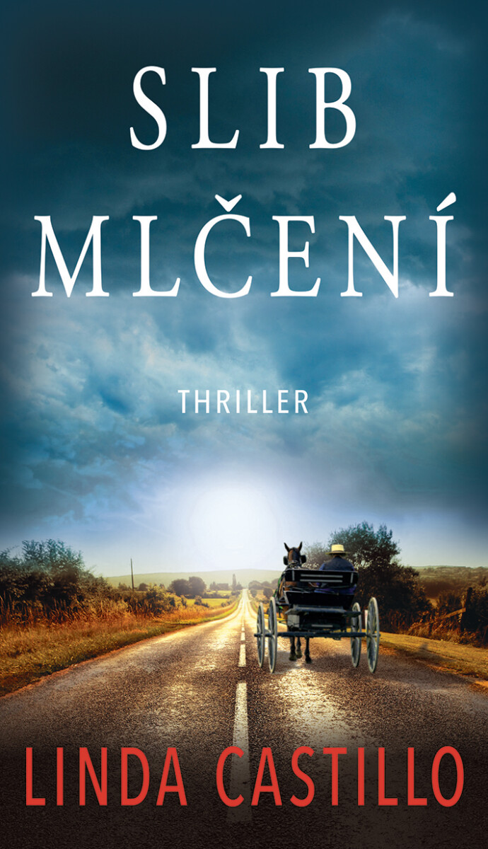 Slib mlčení - Linda Castillo