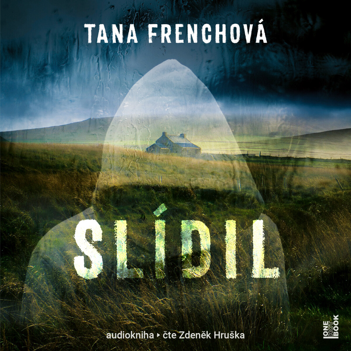 Levně Slídil - Tana Frenchová - audiokniha