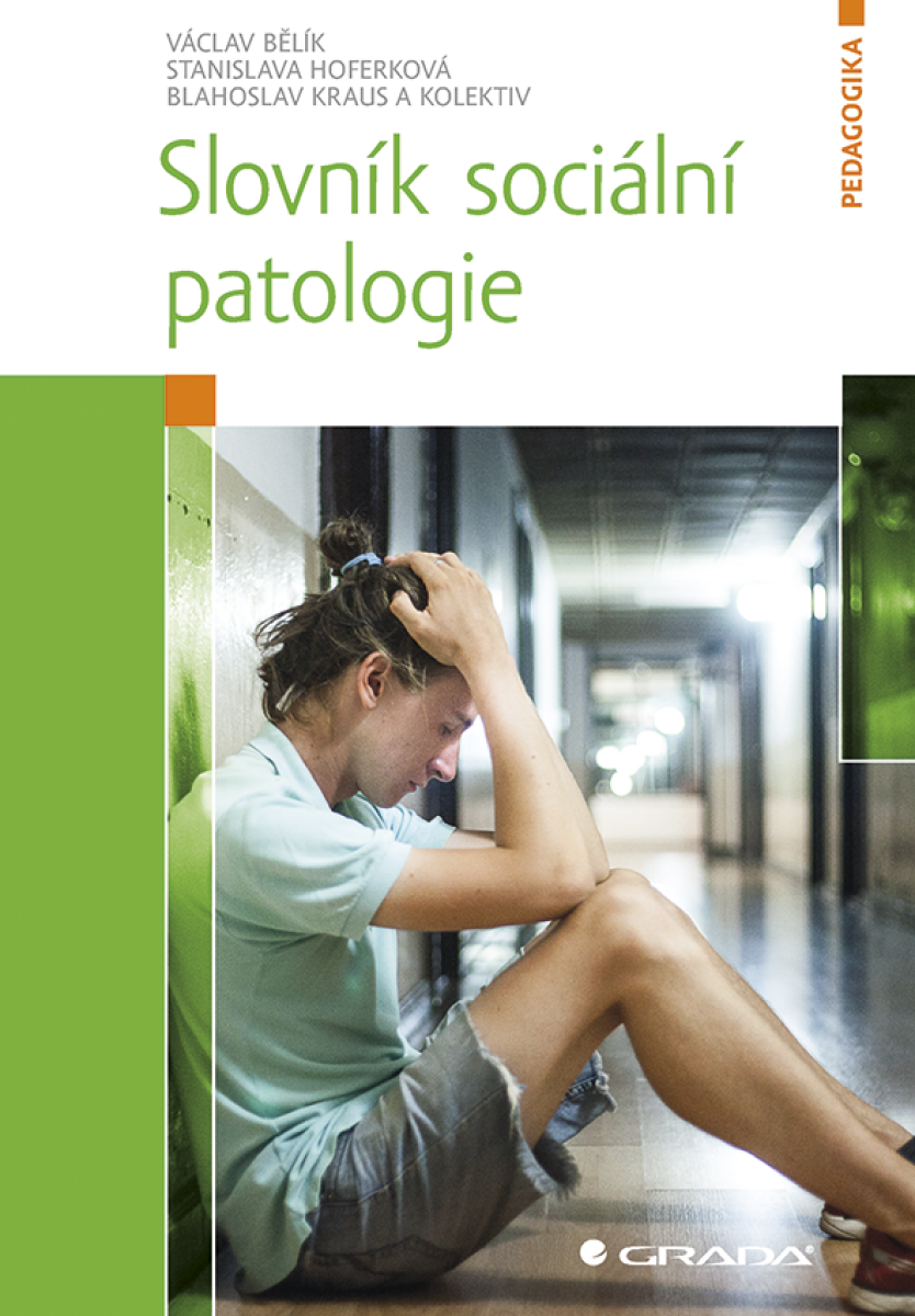 Slovník sociální patologie - Blahoslav Kraus, Václav Bělík, Stanislava Hoferková