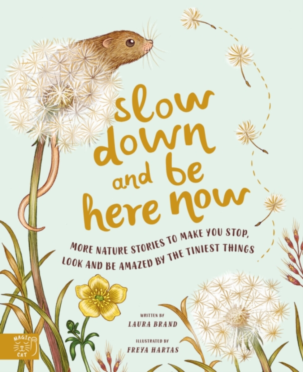 Kniha Slow Down and Be Here Now