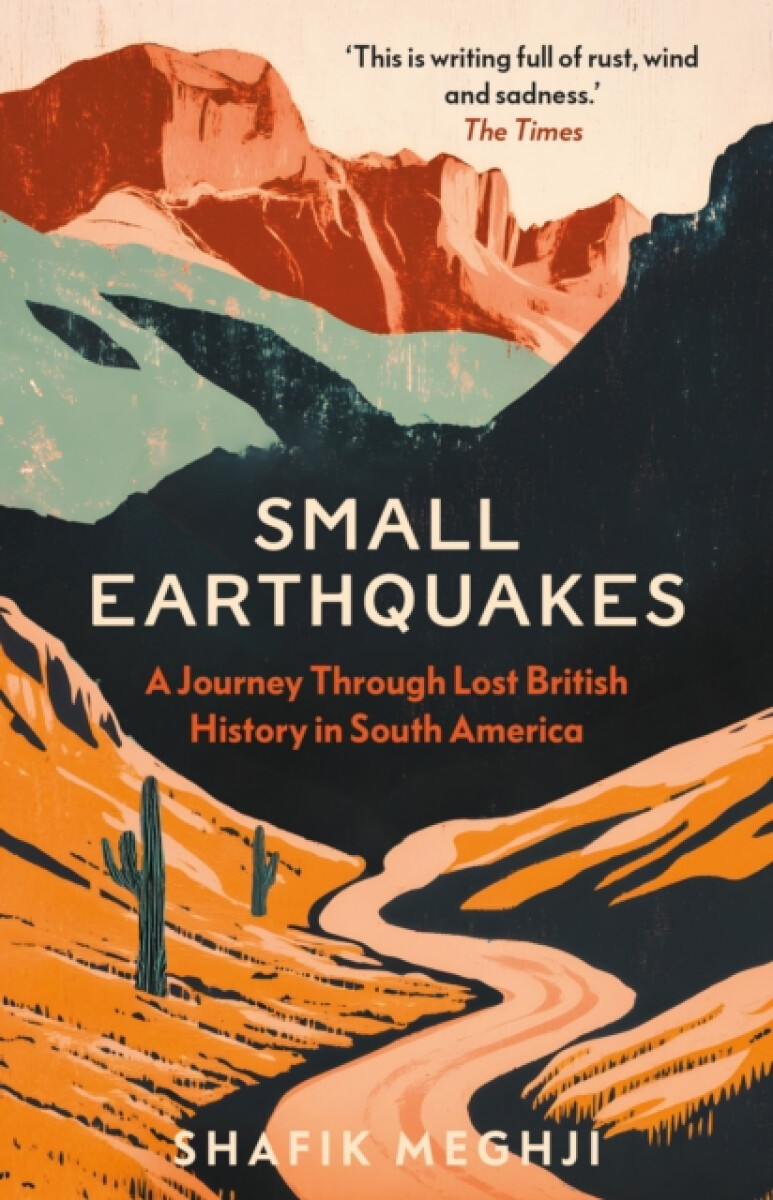Kniha Small Earthquakes