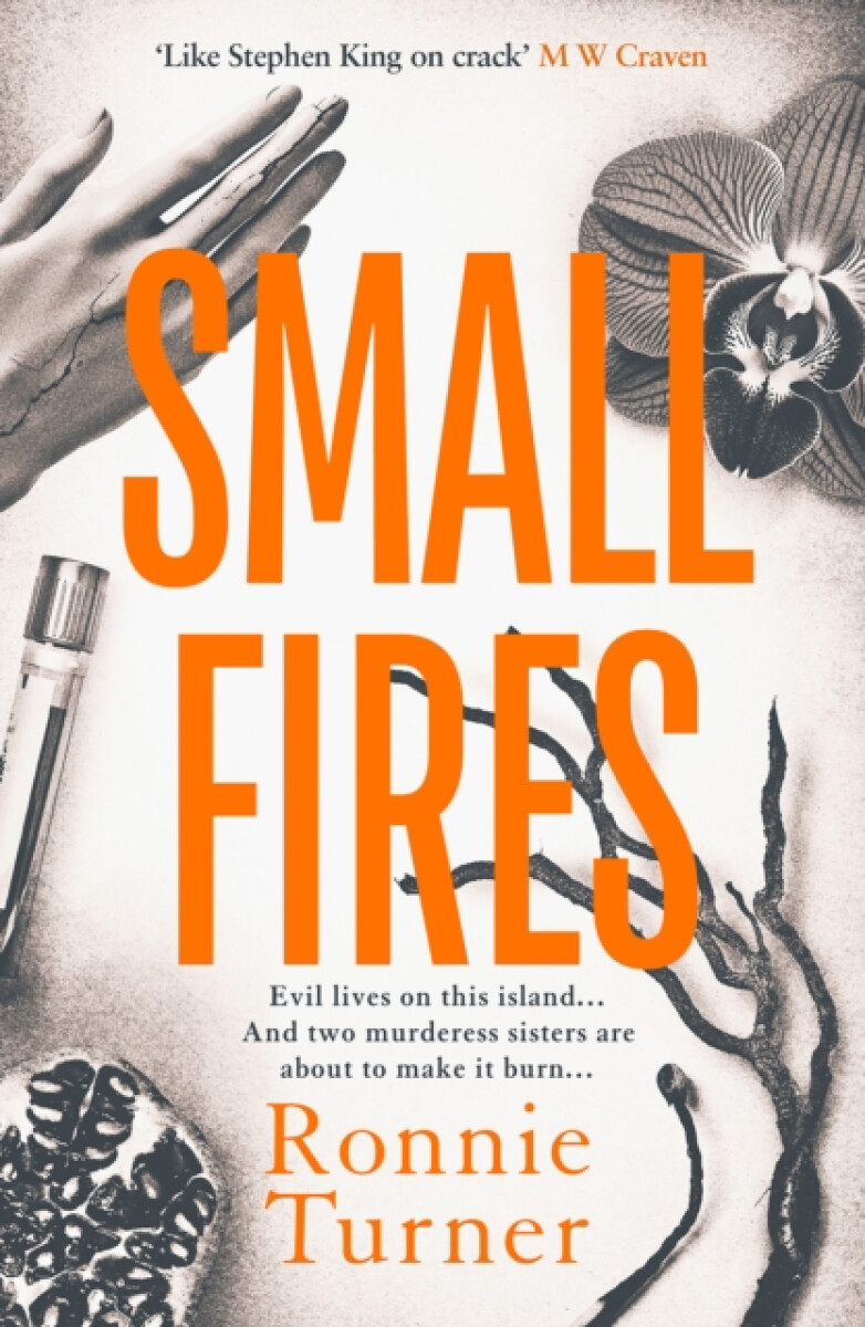 Kniha Small Fires