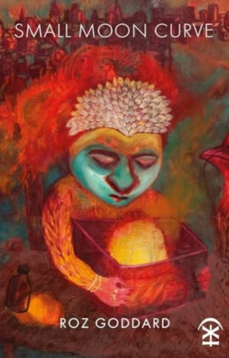 Kniha Small Moon Curve