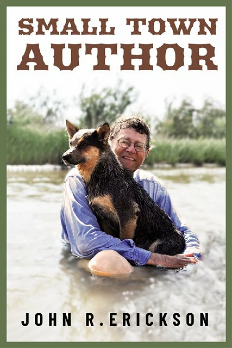 Kniha Small Town Author