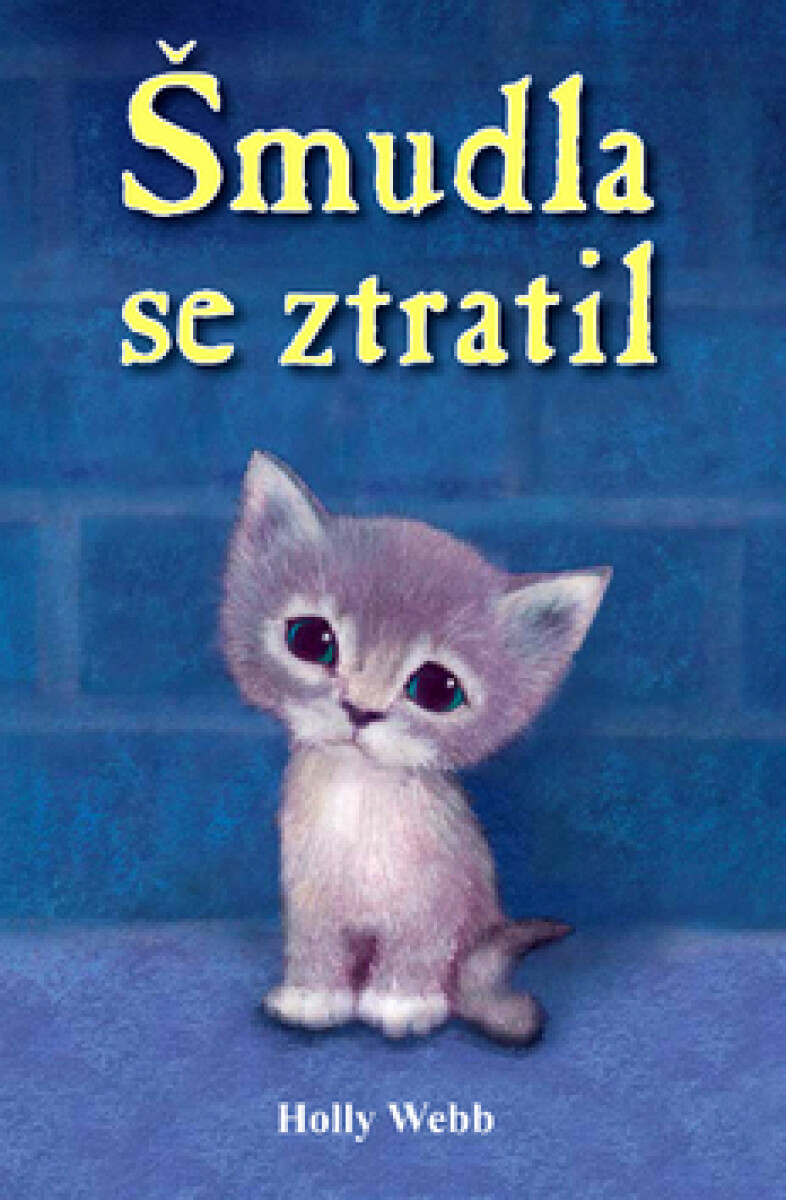 Kniha Šmudla se ztratil