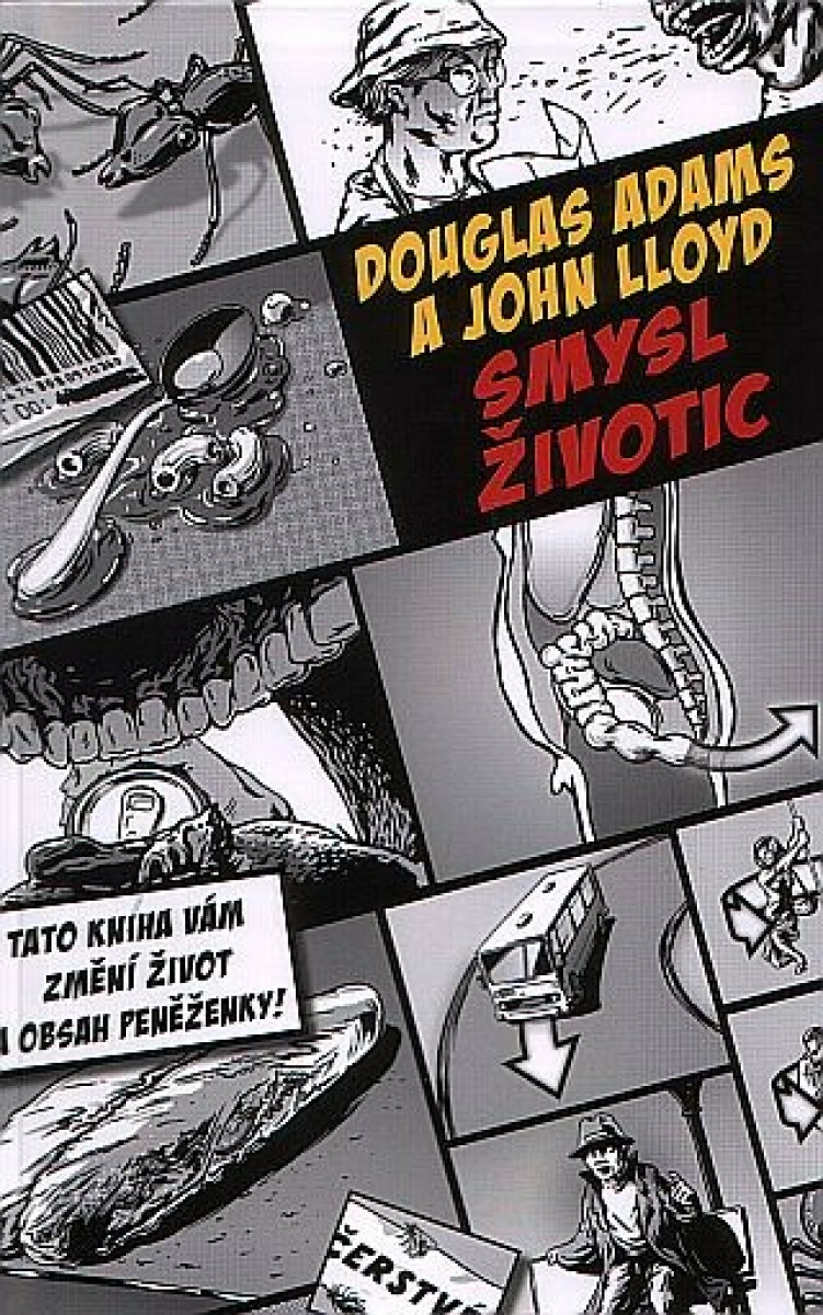 Kniha Smysl Životic