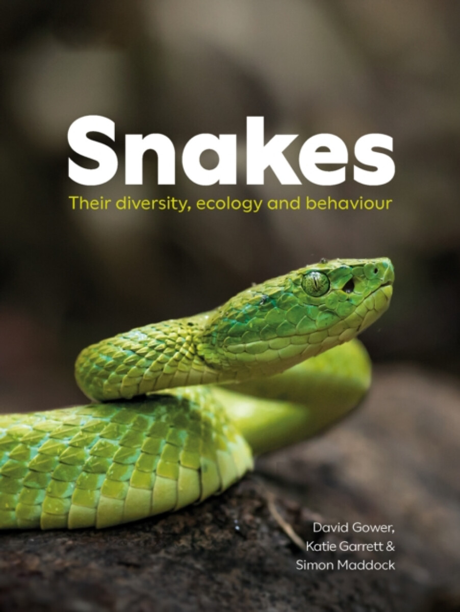 Kniha Snakes